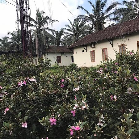 Palm Garden House Quang Tri Exterior foto