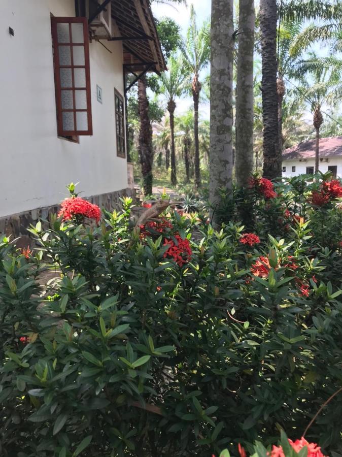 Palm Garden House Quang Tri Exterior foto