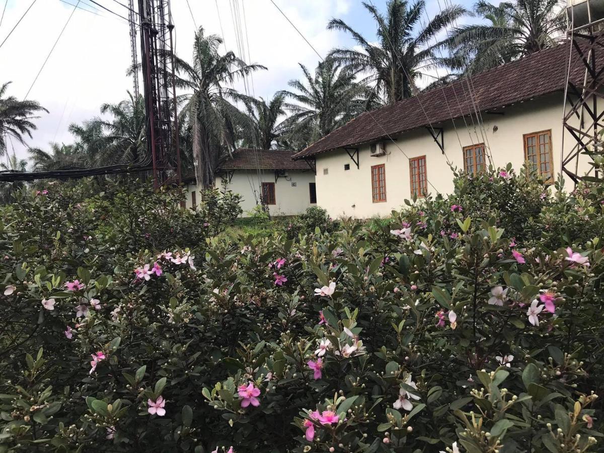 Palm Garden House Quang Tri Exterior foto