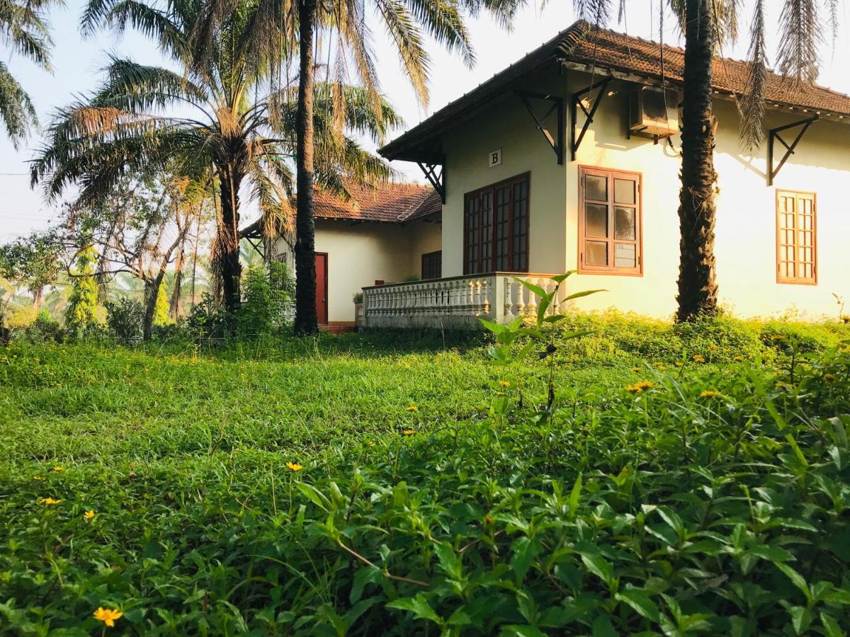 Palm Garden House Quang Tri Exterior foto